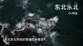 东北东北 (DJ阿圣版)(歌词版)