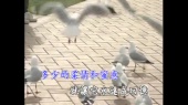 飘香梦(伴奏版)