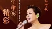 毛阿敏《生命的精彩》饭制