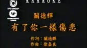 有了你一样伤悲 (KTV版)