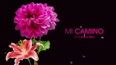 Mi Camino(Official Visualizer)