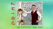 红尘一朵花(KTV版)