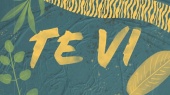 Te Vi(Lyric Video)