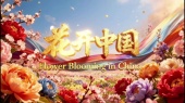 花开中国(世界妇女大会主题歌)